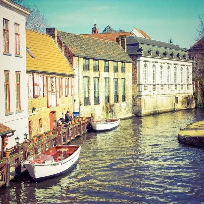 [EN] Curver Dog Food Container 10kg (DarkViolet et #198)