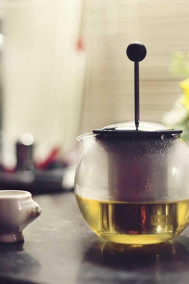 [EN] Freezack Single Dinner Bowl for Dogs (Crimson tempora #981)