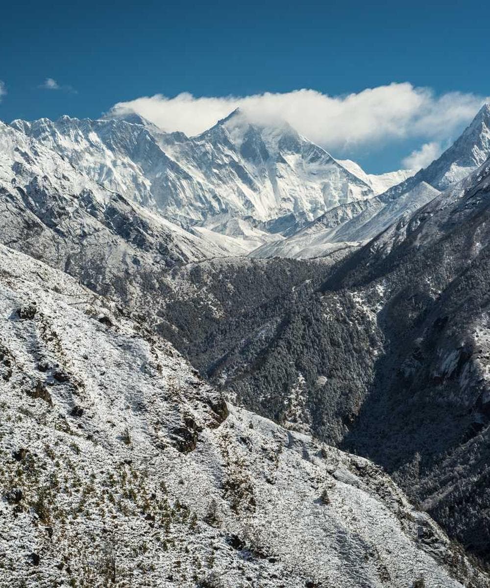 [EN] Flexi Leash New Classic S (DodgerBlue omnis #998)