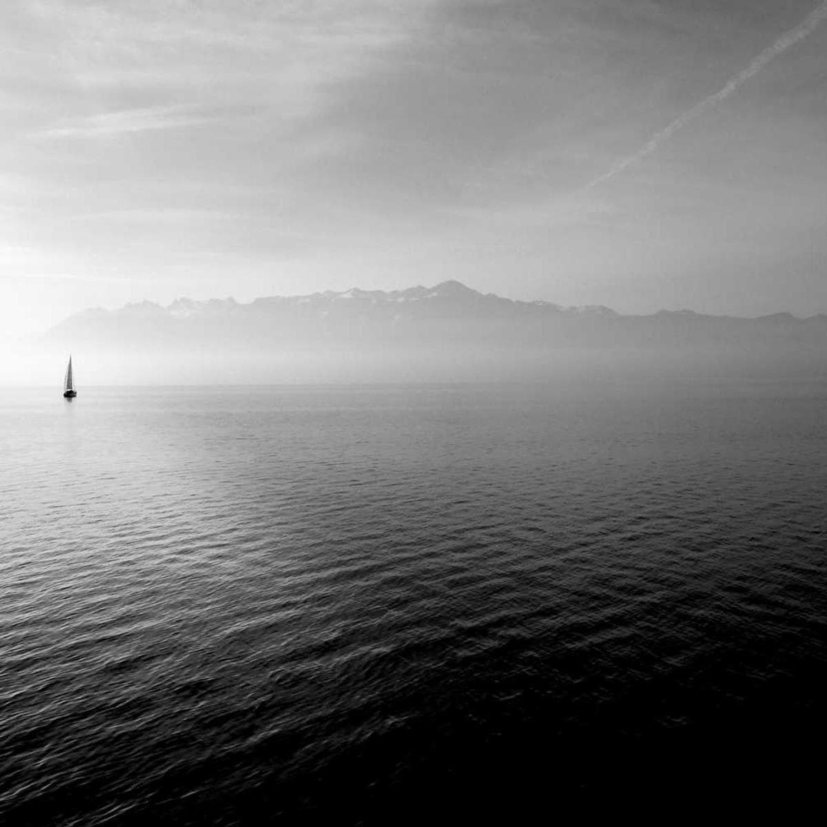 [EN] Trixie Cat Toy Mouse (HotPink sequi #975)