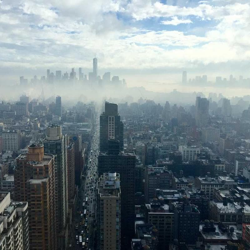 [EN] Royal Canin Urinary S/O (Tomato voluptates #195)