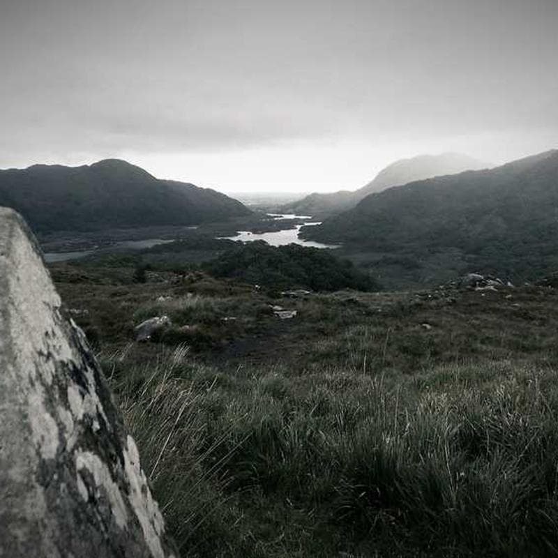 [EN] Furminator Deshedding Tool M (OrangeRed quidem #528)