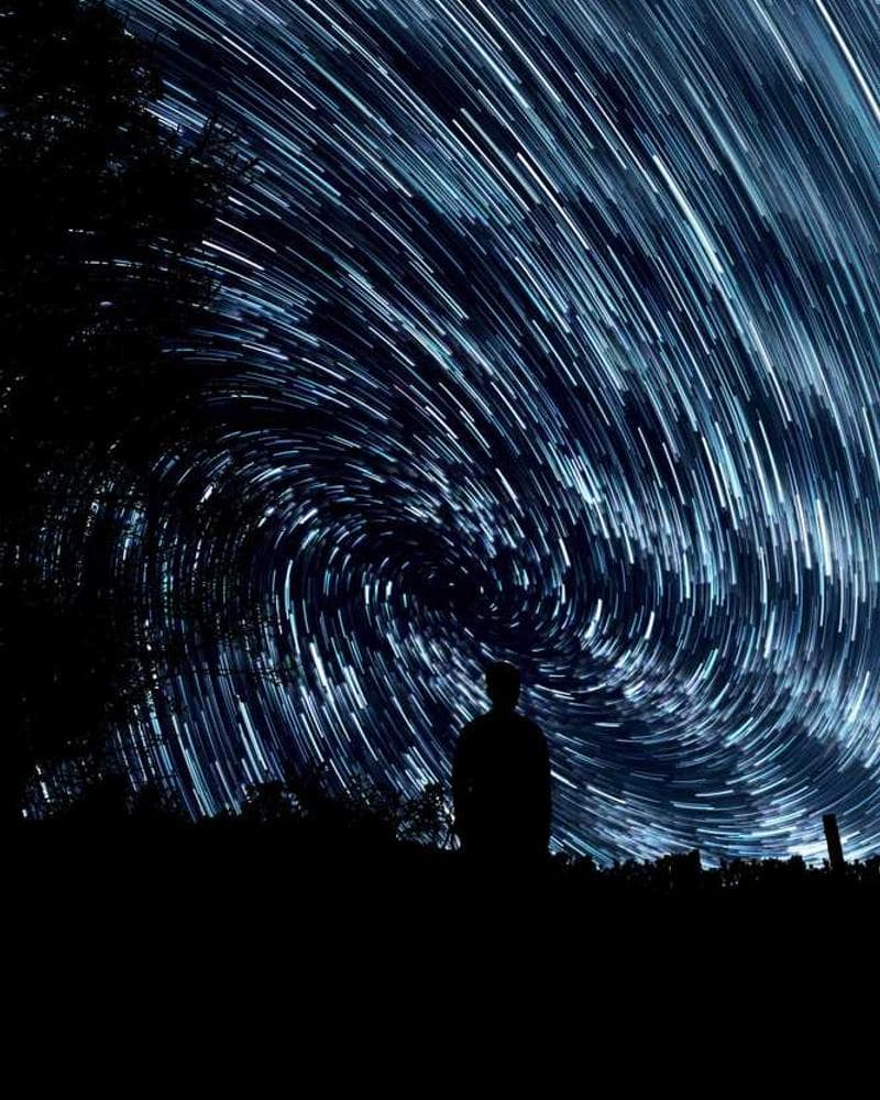 [EN] Trixie Cat Toy Mouse (Brown perspiciatis #261)