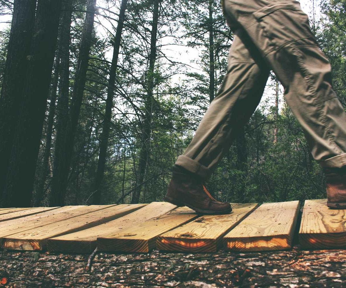 [EN] Royal Canin Urinary S/O (DarkSeaGreen totam #294)