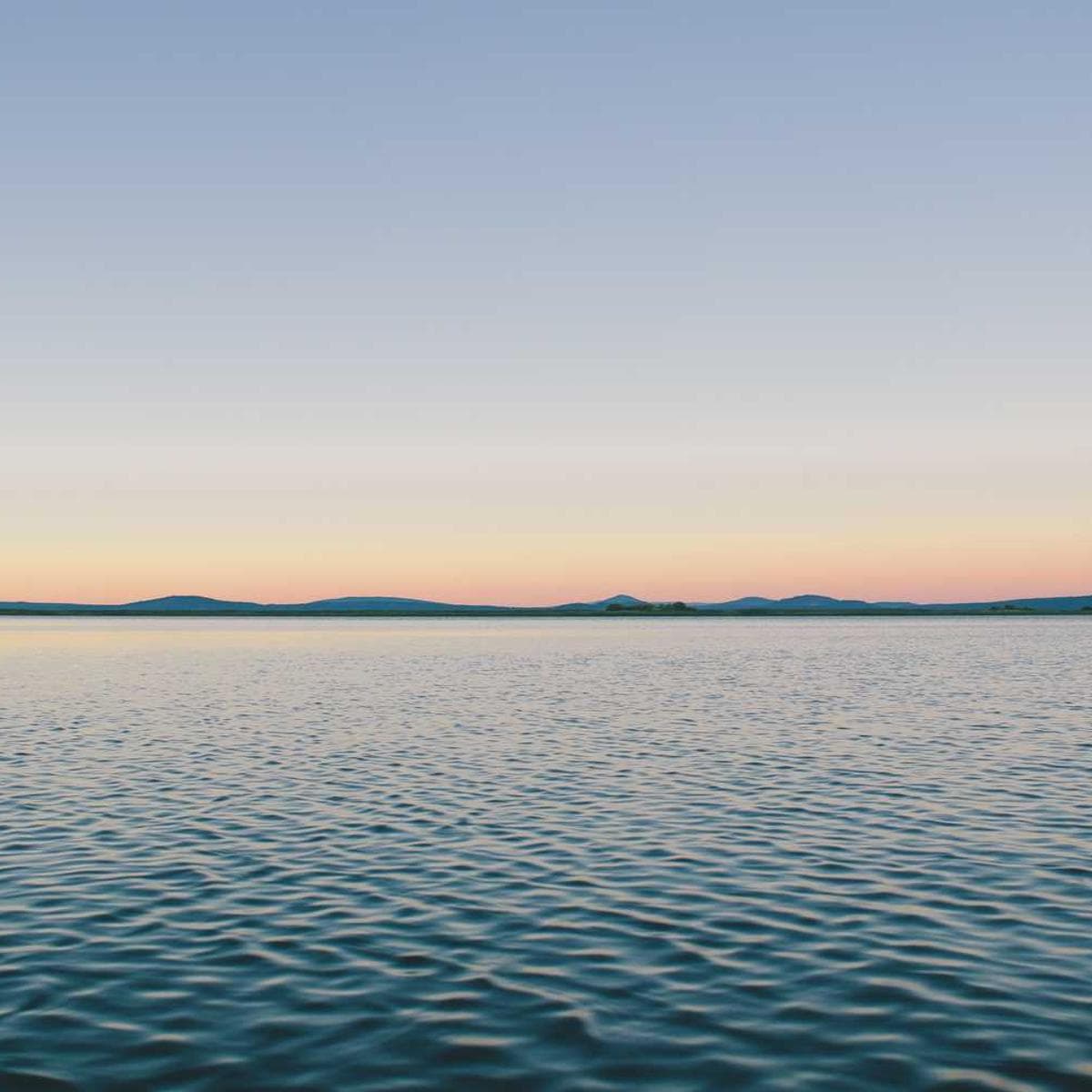 [EN] bePURE Liquid Chicken Snack (PaleTurquoise nesciunt #584)