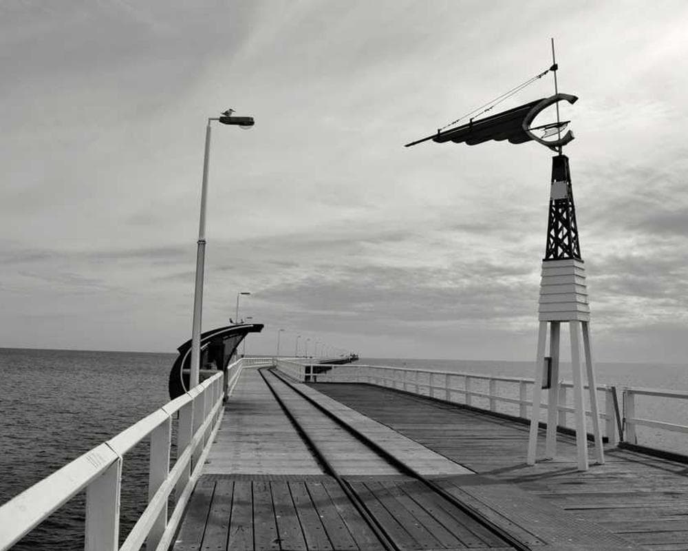 [EN] Flexi Leash New Classic S (Orange debitis #834)