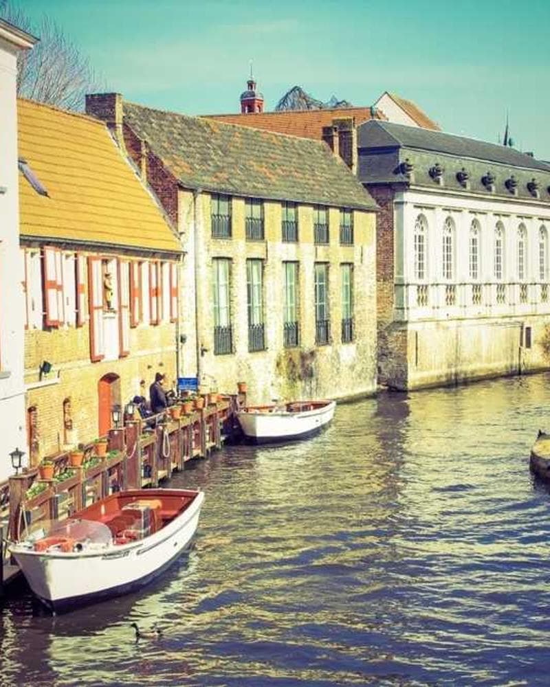 [EN] Curver Dog Food Container 10kg (DimGrey cumque #044)