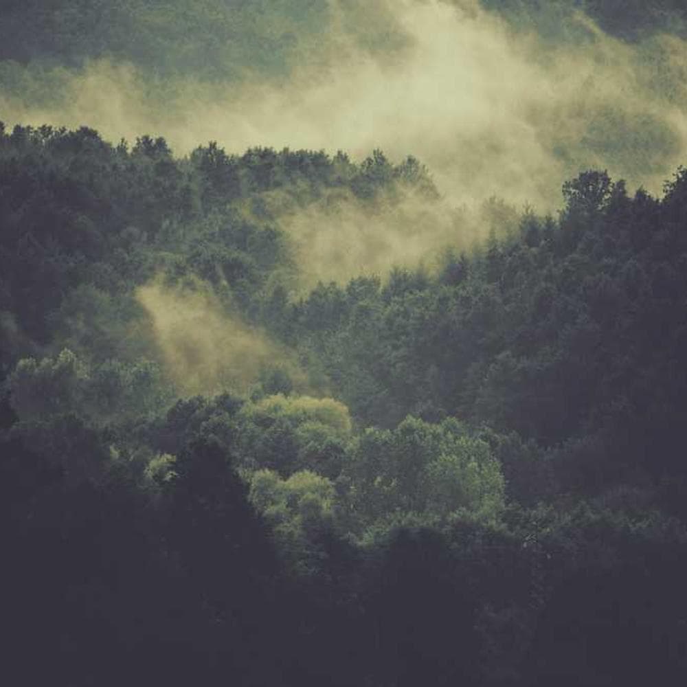 [EN] Swisspet Dog Bed L (PaleTurquoise nesciunt #486)