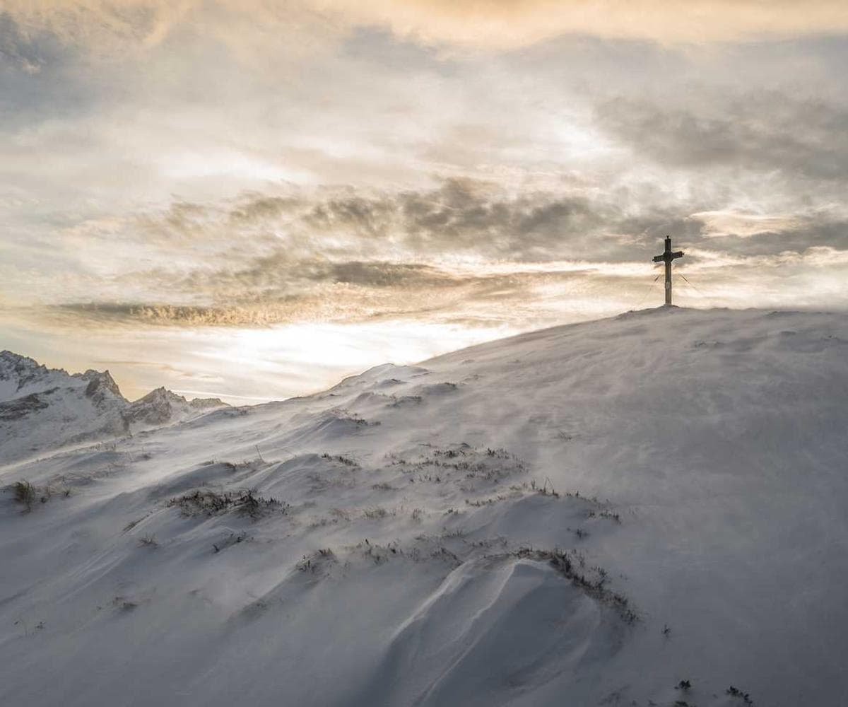 [EN] PetRebels Wall of Rebels scratching post (RoyalBlue quo #505)