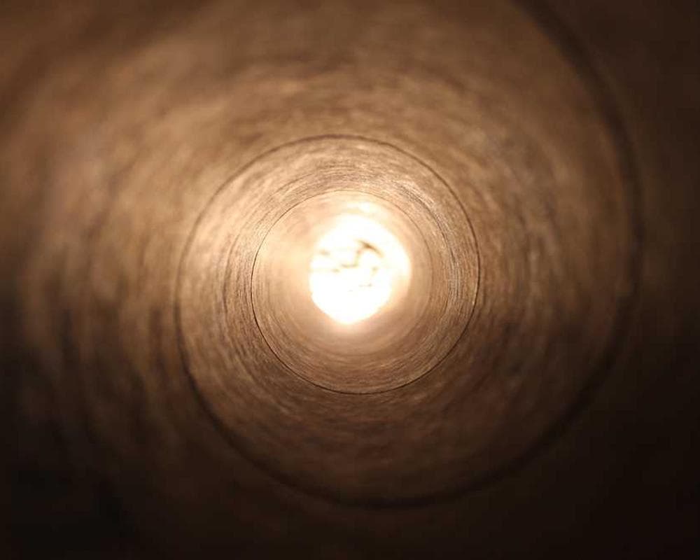 [EN] Trixie Cat Toy Mouse (MediumSpringGreen voluptatem #972)