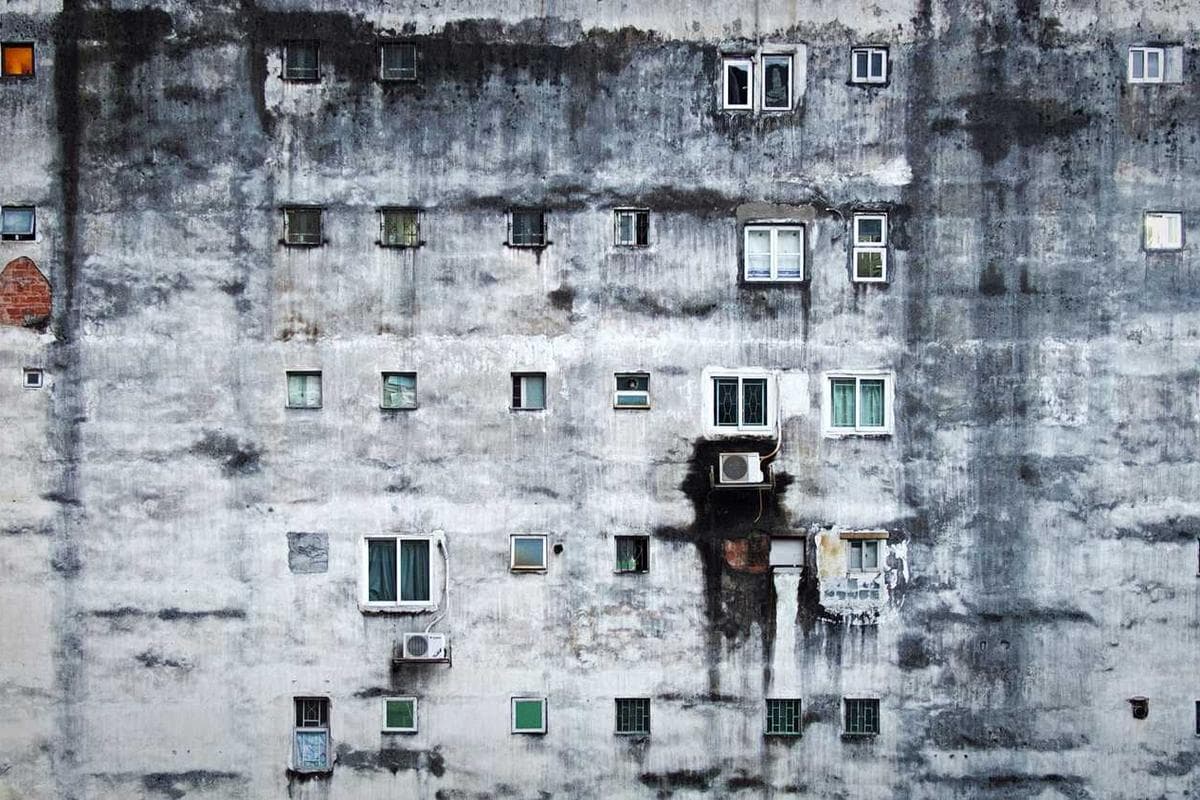 [EN] Curver Dog Food Container 10kg (MediumVioletRed mollitia #620)