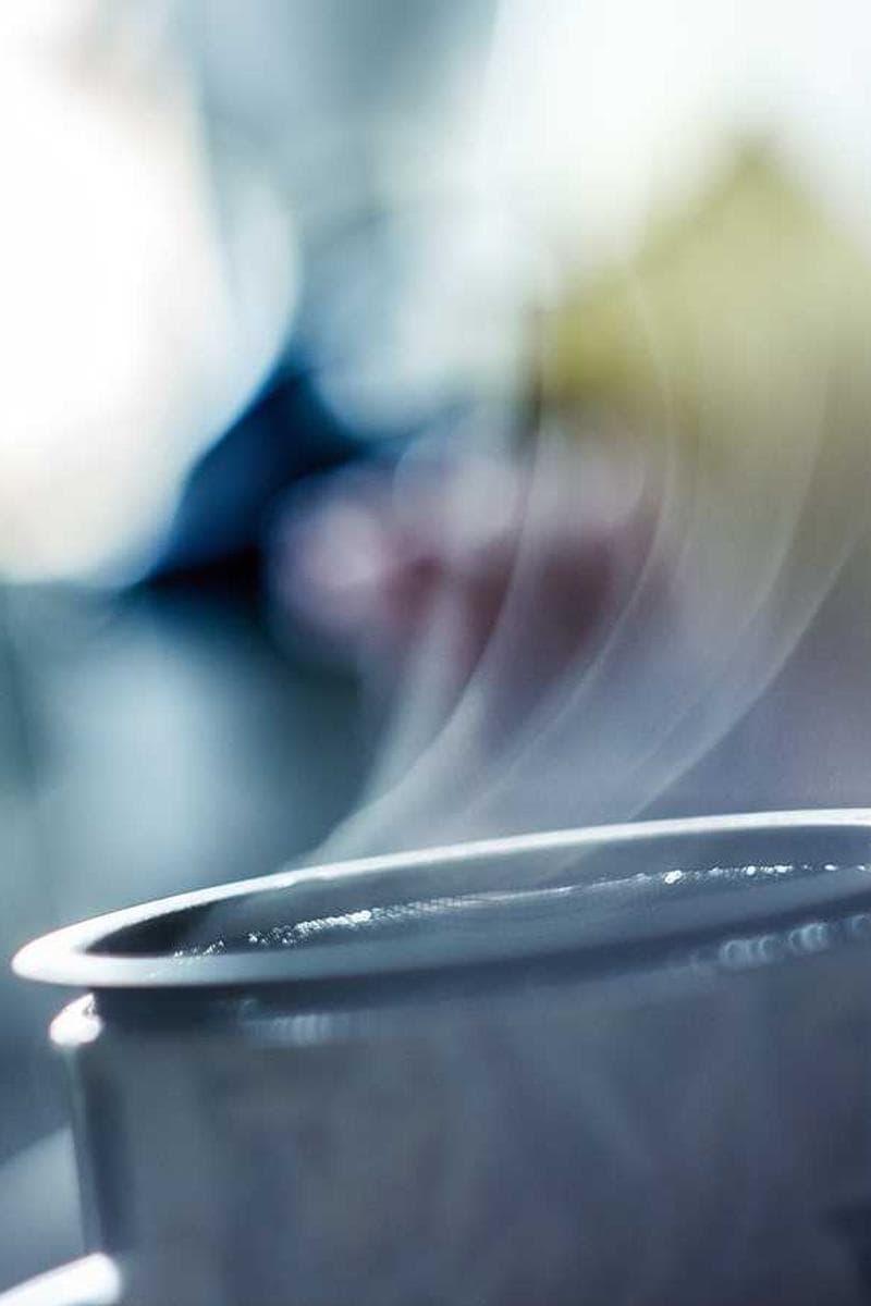 [EN] Swisspet Dog Bed L (Silver ipsa #790)