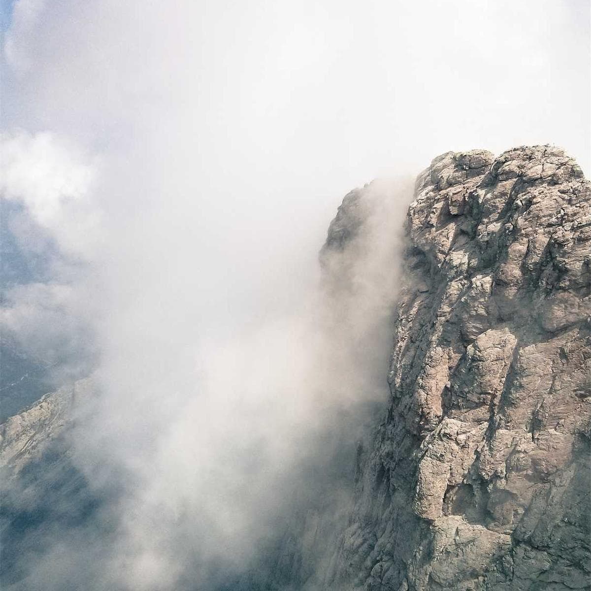 [EN] Freezack Single Dinner Bowl for Dogs (Beige maxime #571)
