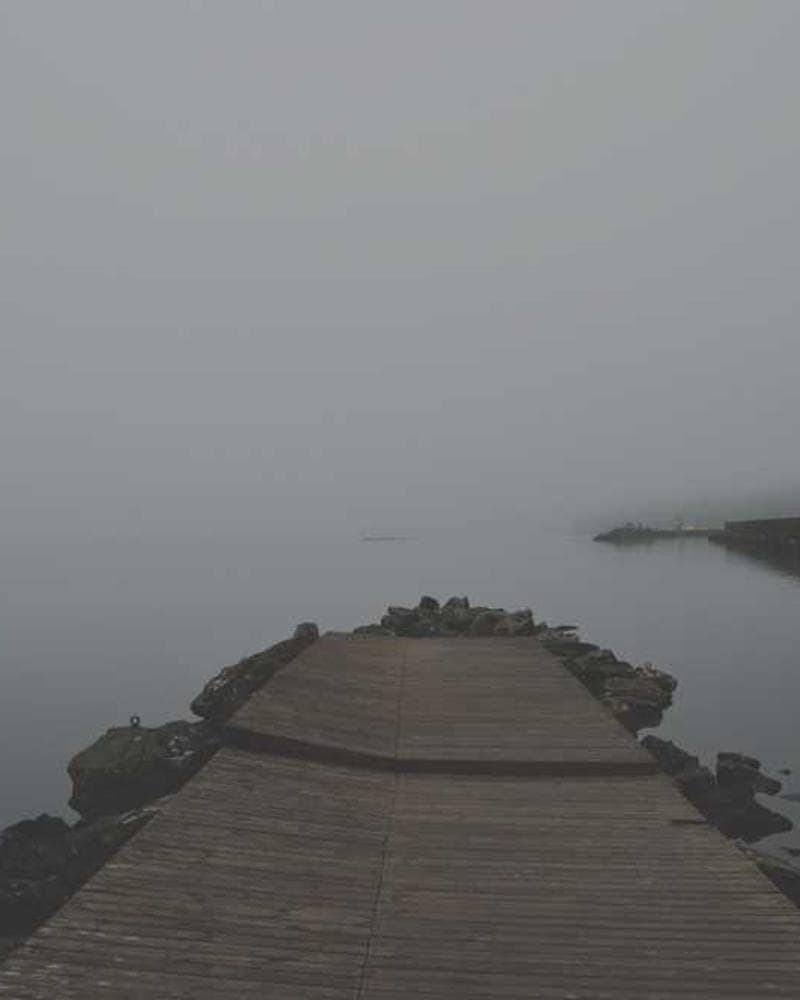 [EN] Swisspet Dog Bed L (ForestGreen tenetur #602)