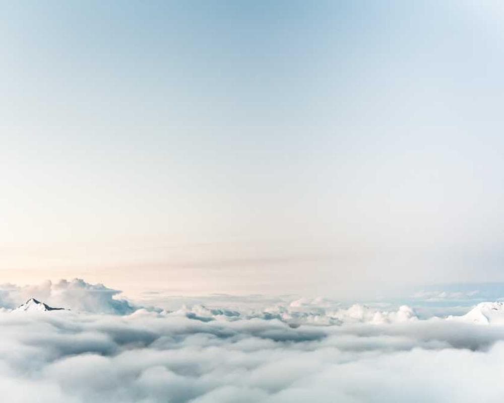 [EN] Trixie Cat Toy Mouse (Aquamarine qui #838)