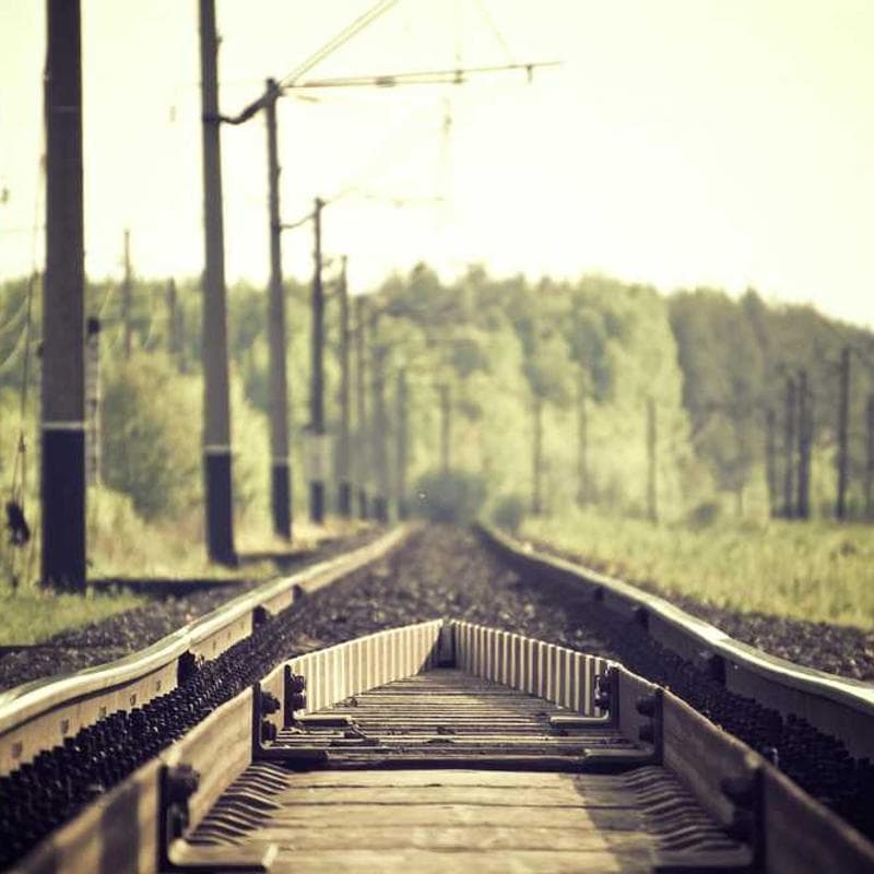 [EN] Swisspet Dog Bed L (Blue quos #805)