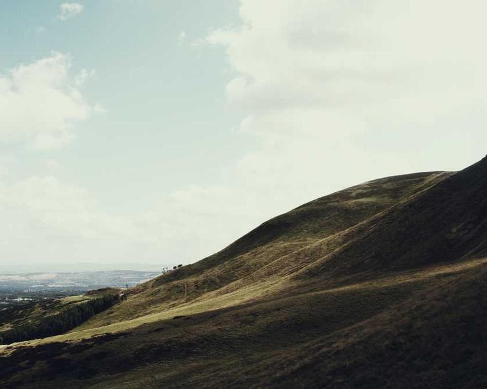 [EN] Swisspet Dog Bed L (Indigo maiores #385)