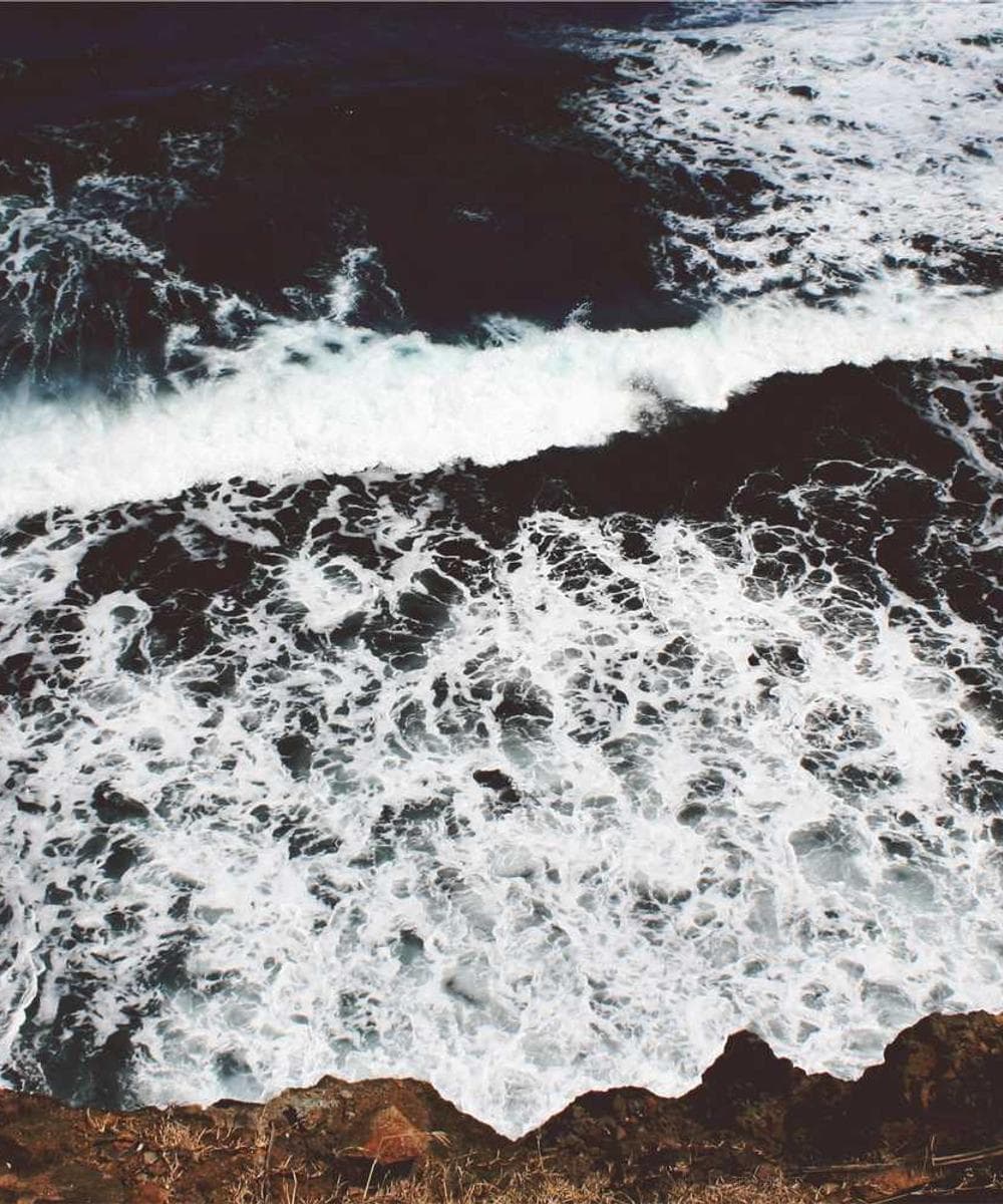 [EN] Flexi Leash New Classic S (SaddleBrown debitis #217)