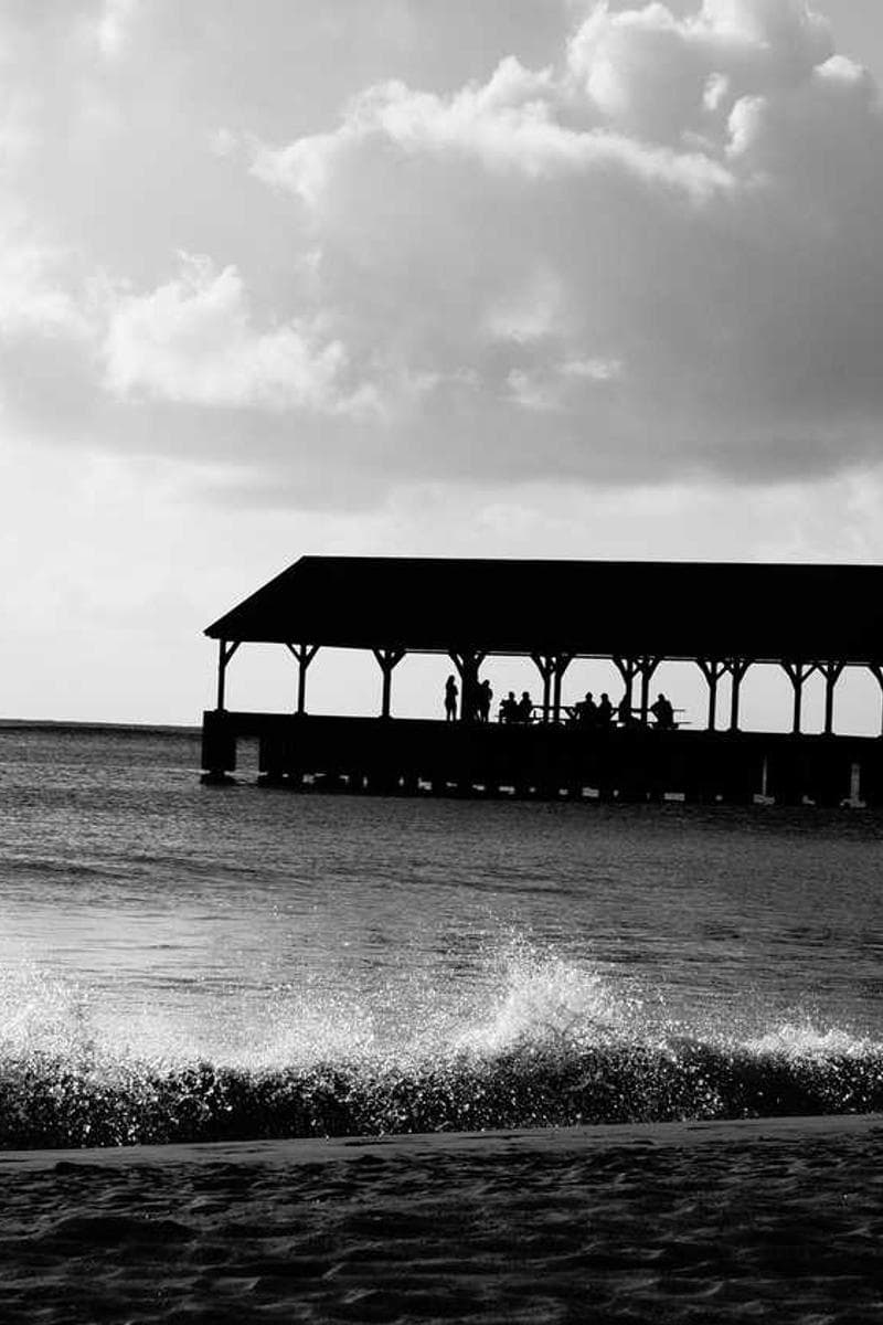 [EN] Hunter Collar Swiss (PaleGreen itaque #587)