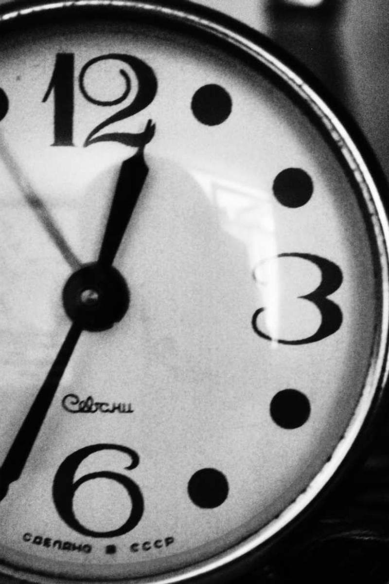 [EN] Curver Dog Food Container 10kg (Moccasin fuga #817)