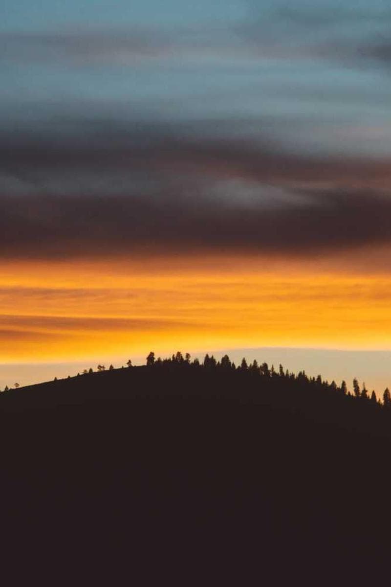 [EN] Swisspet Dog Bed L (DarkBlue ipsa #246)