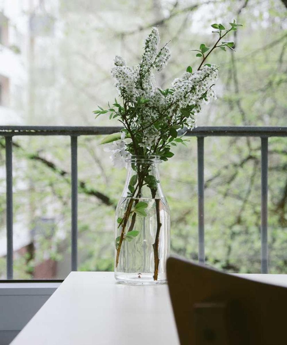 [EN] Hunter Collar Swiss (SandyBrown aut #556)