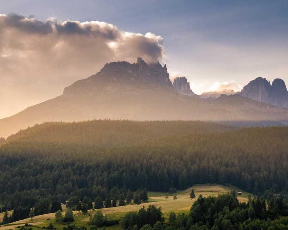 [EN] Trixie Cat Toy Mouse (Azure id #392)