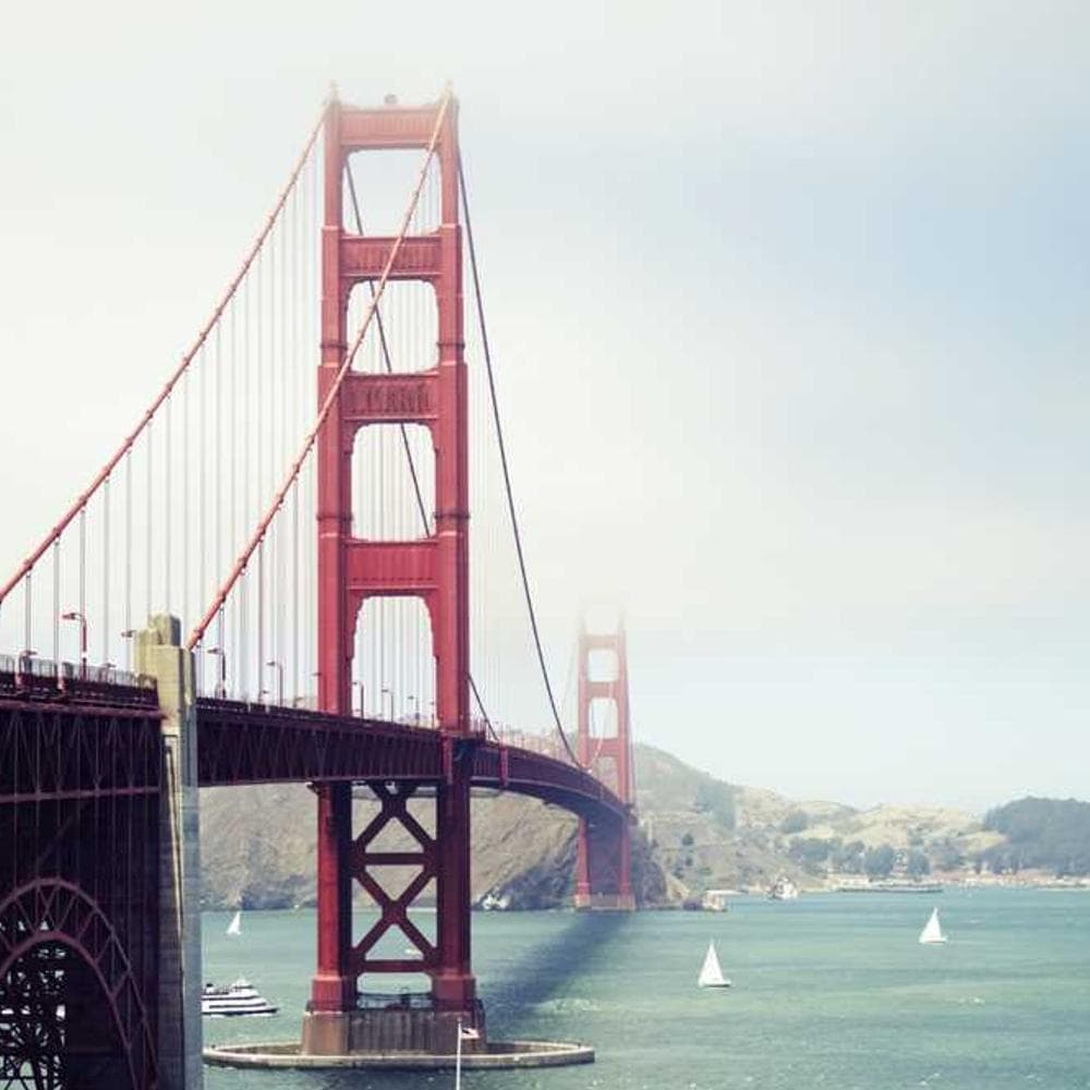 [EN] Royal Canin Urinary S/O (SteelBlue facilis #601)