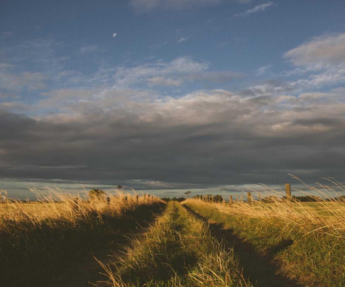 [EN] Royal Canin Urinary S/O (White sint #468)