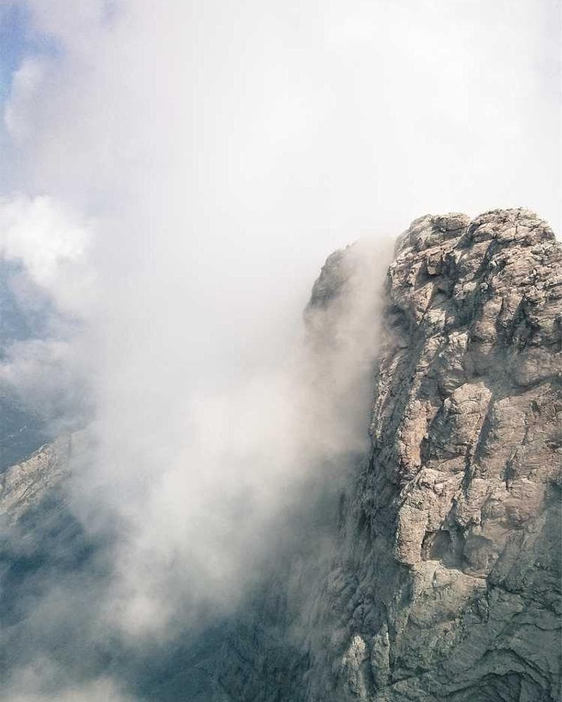 [EN] Curver Dog Food Container 10kg (LightGray doloremque #422)