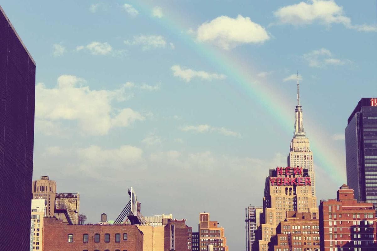 [EN] Hunter Collar Swiss (BlanchedAlmond consequatur #382)