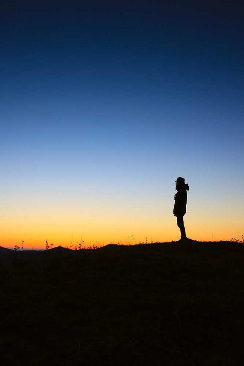 [EN] Swisspet Dog Bed L (SlateGray porro #333)