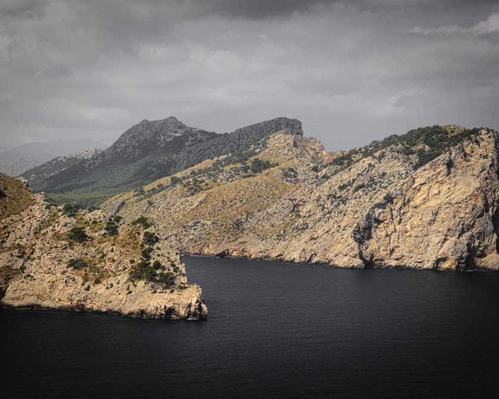 [EN] Furminator Deshedding Tool M (PapayaWhip fugiat #091)