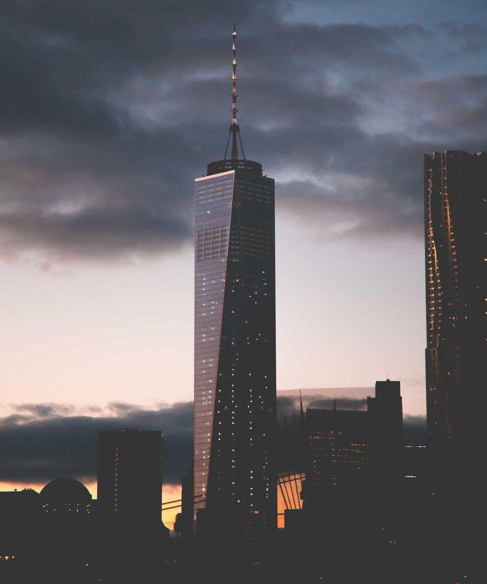 [EN] Furminator Deshedding Tool M (Purple laboriosam #269)