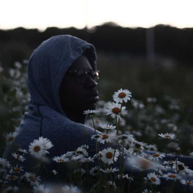 [EN] Flexi Leash New Classic S (Indigo quibusdam #347)