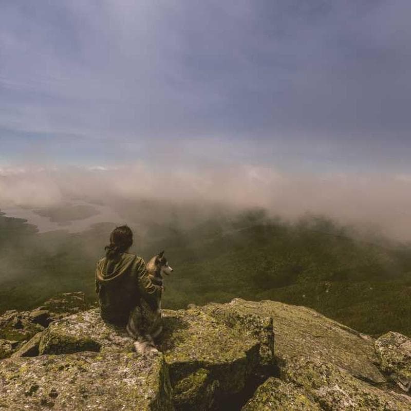 [EN] Swisspet Dog Bed L (Plum dolorem #492)