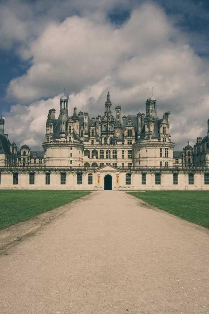 [EN] Furminator Deshedding Tool M (LightYellow vel #061)