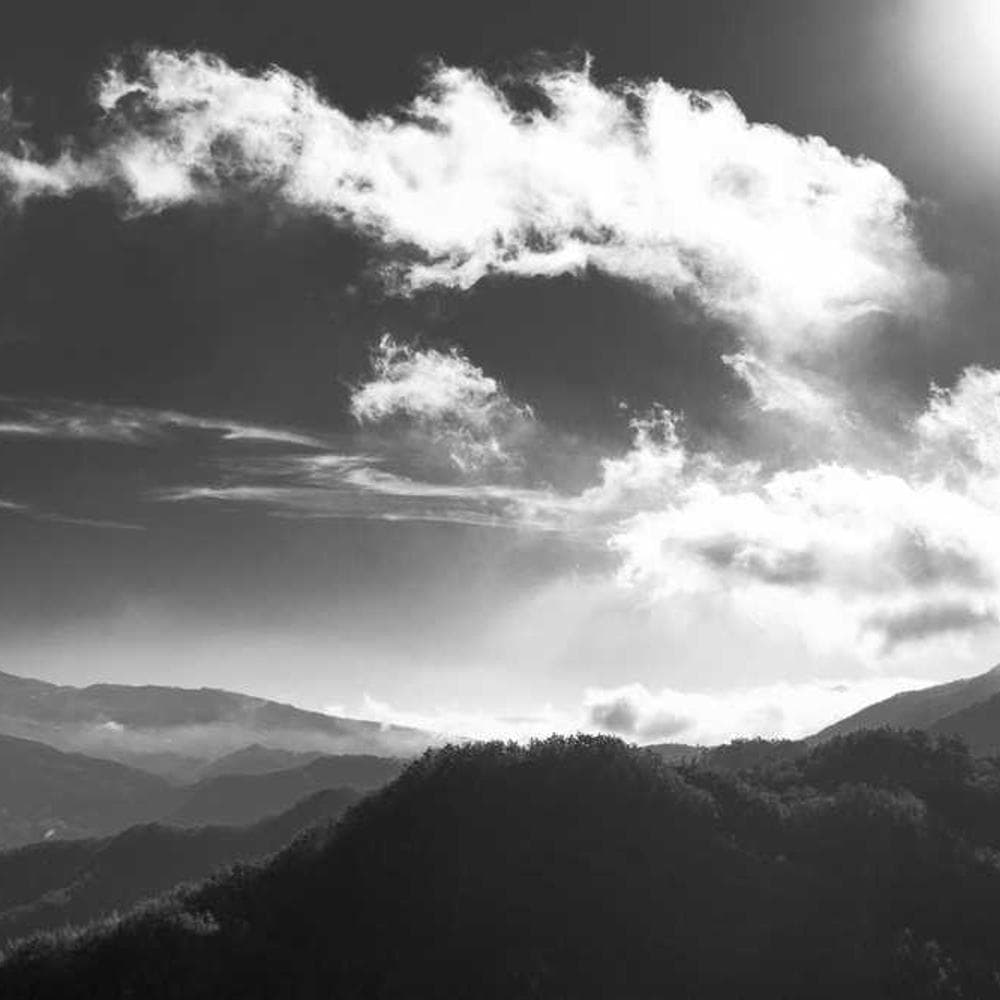 [EN] Freezack Single Dinner Bowl for Dogs (DarkBlue in #323)