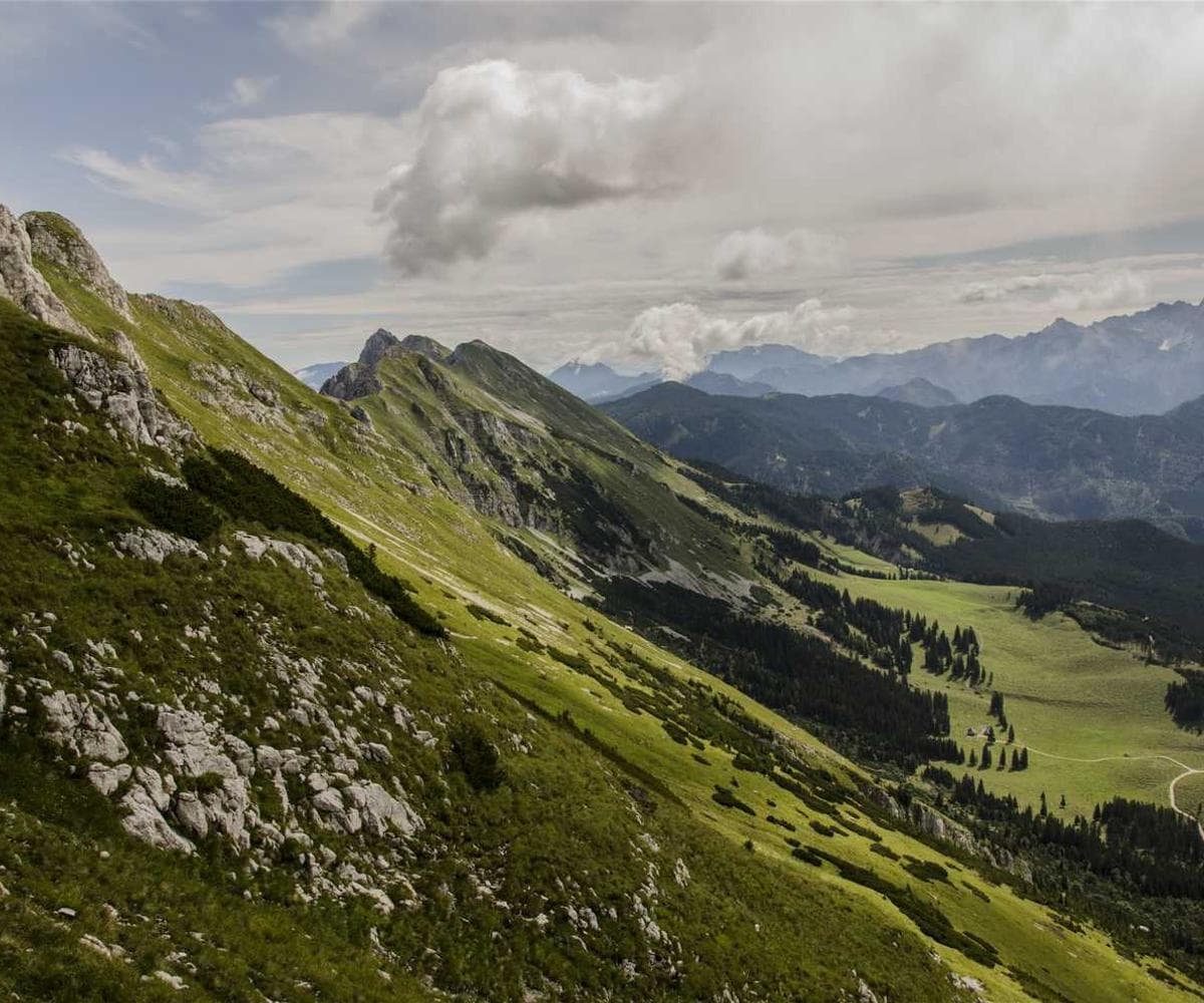 [EN] Freezack Single Dinner Bowl for Dogs (Blue voluptatem #848)