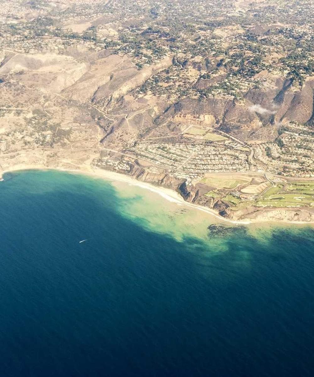 [EN] Furminator Deshedding Tool M (Thistle voluptatem #722)