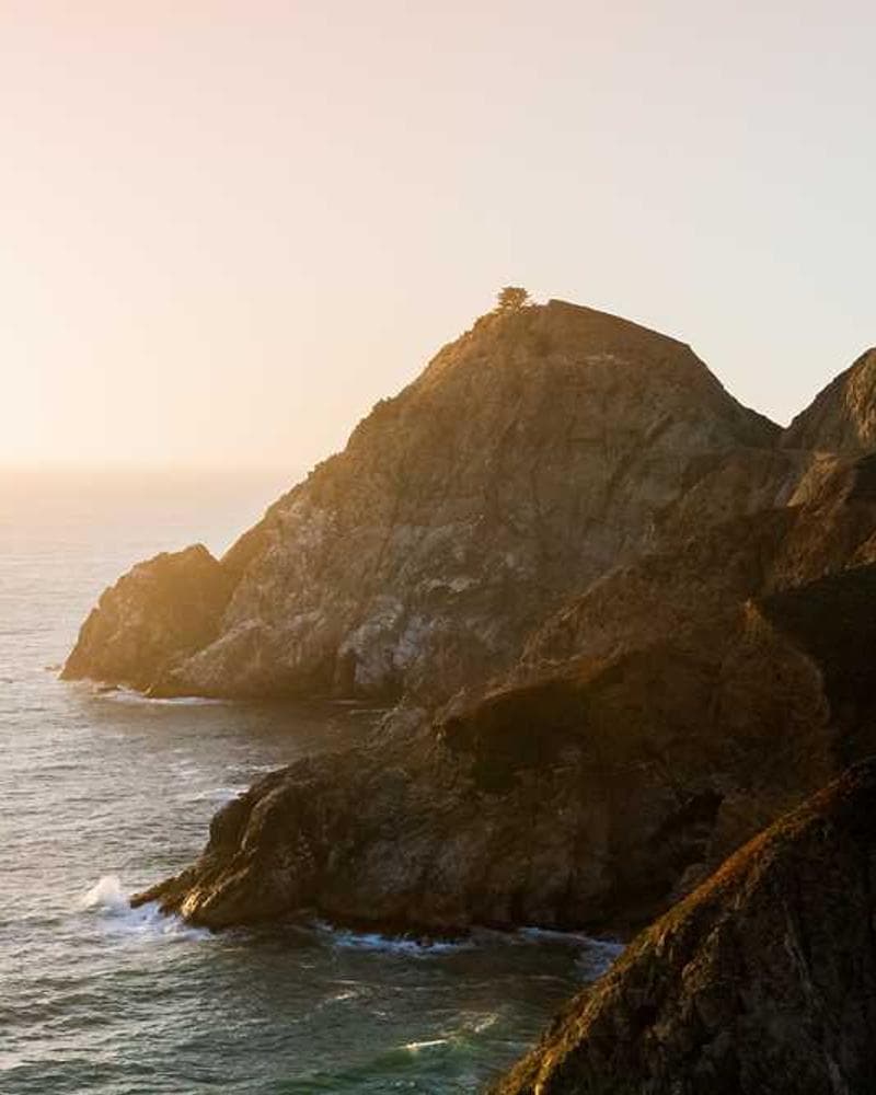 [EN] Curver Dog Food Container 10kg (PeachPuff qui #573)