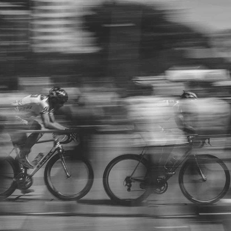 [EN] Swisspet Dog Bed L (DarkSlateBlue ea #170)