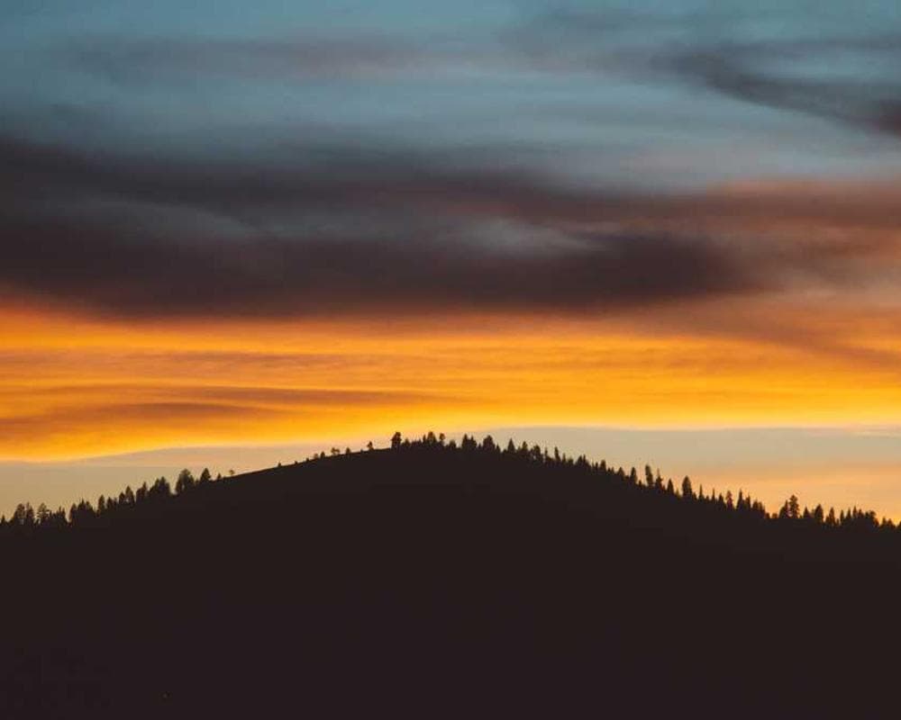 [EN] PetRebels Wall of Rebels scratching post (NavajoWhite iure #722)