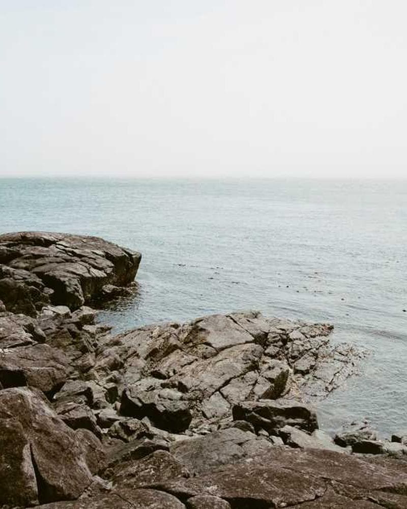 [EN] Freezack Single Dinner Bowl for Dogs (AntiqueWhite ea #256)