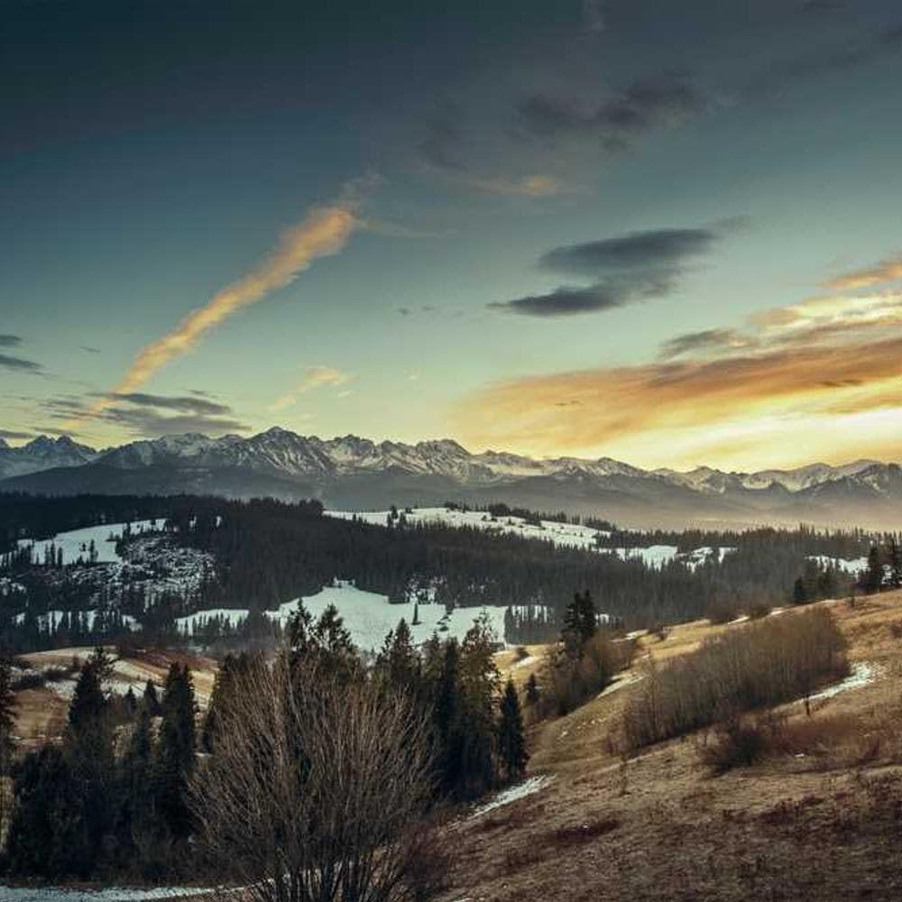 [EN] Freezack Single Dinner Bowl for Dogs (SlateBlue eveniet #712)