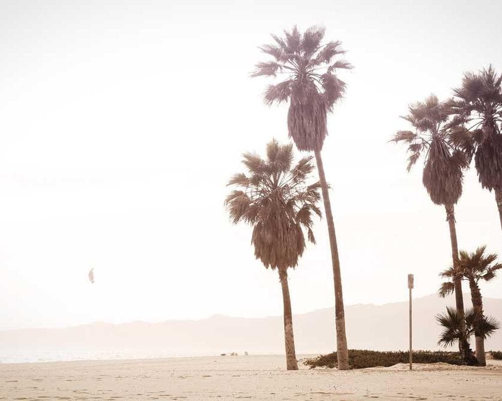 [EN] Swisspet Dog Bed L (LightSlateGray molestiae #630)