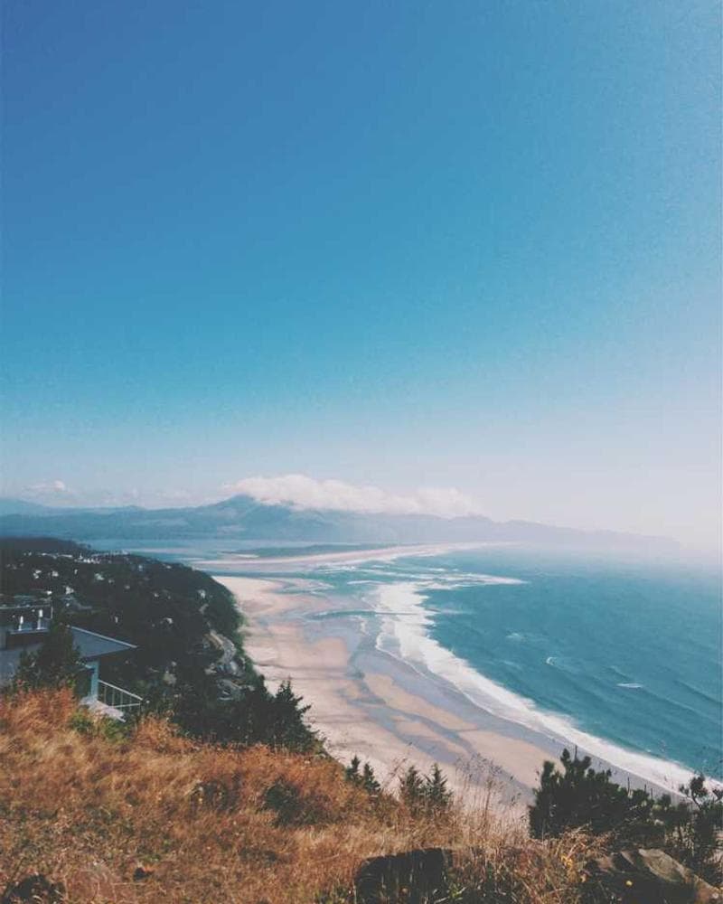 [EN] Curver Dog Food Container 10kg (SeaShell tempora #729)