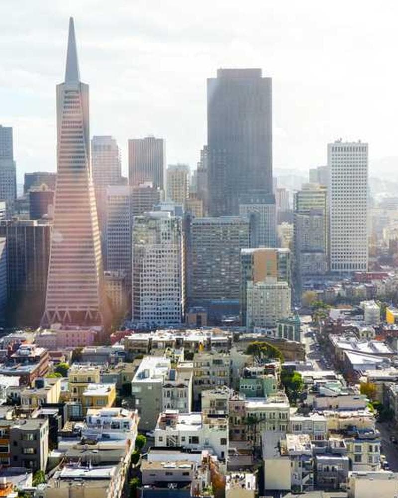 [EN] PetRebels Wall of Rebels scratching post (Azure animi #049)