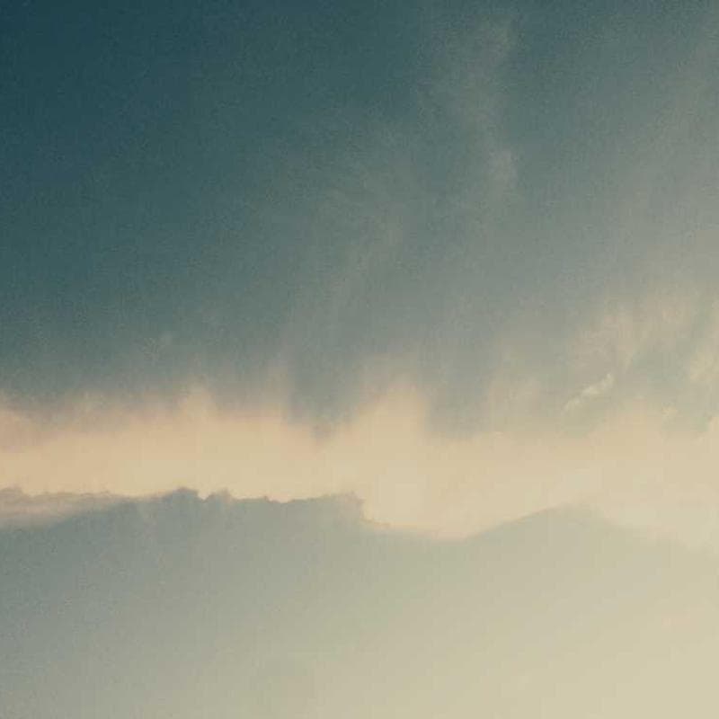 [EN] Flexi Leash New Classic S (Cornsilk et #848)