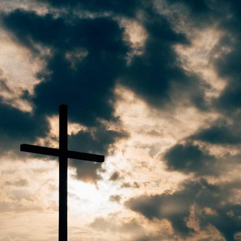 [EN] Swisspet Dog Bed L (SlateBlue enim #138)